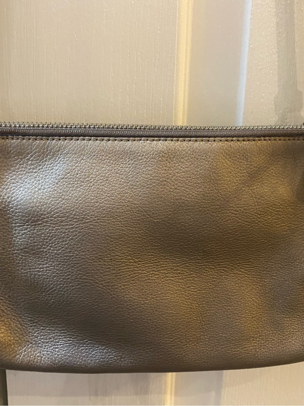 Metallic Coach Leather Crossbody Pouch